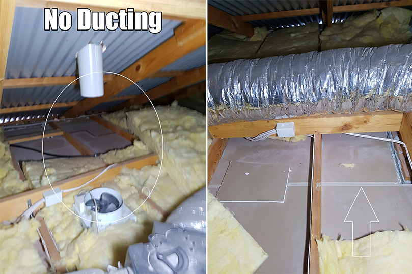 perth first home buyers building inspection