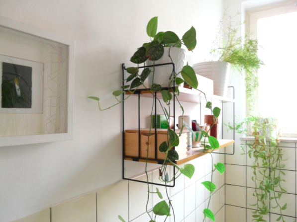 screen-shot-2018-04-04-at-2-00-19-pm