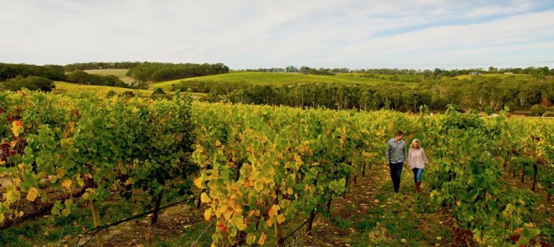 Parafield Gardens Winery