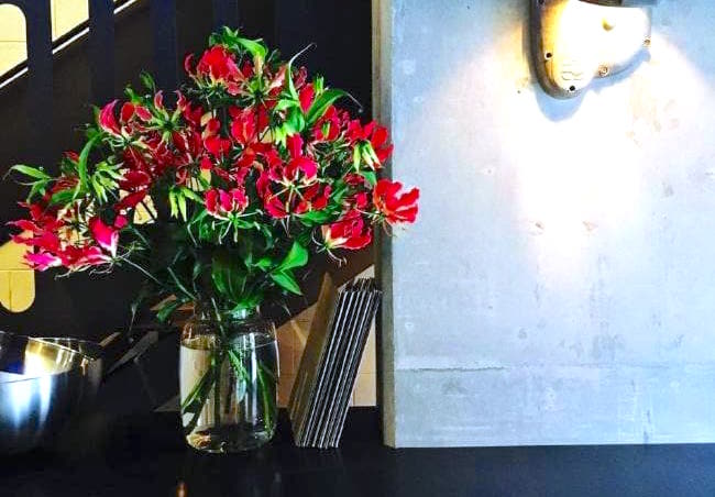 interior design ideas