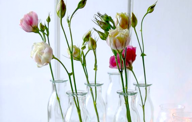 interior design ideas