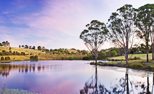 Leppington Suburb Profile