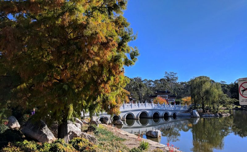 Schofields suburb profile