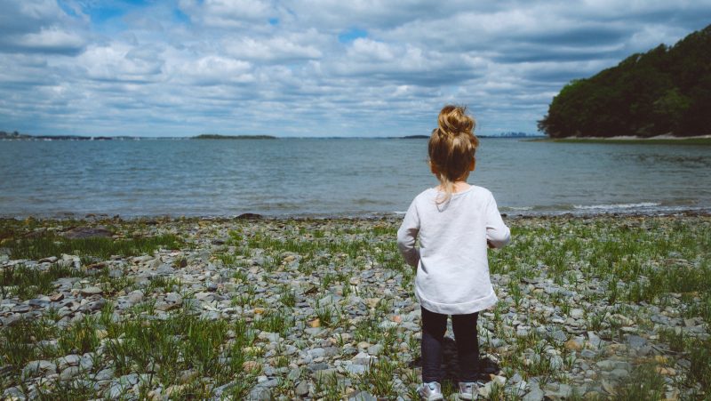 helensvale suburb profile