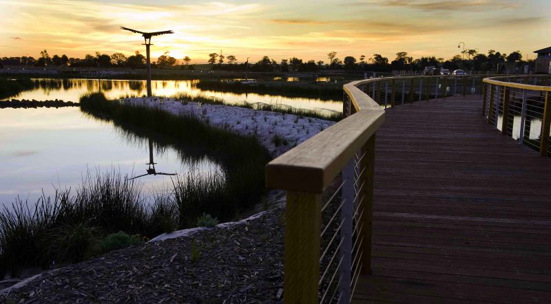 lyndhurst suburb profile
