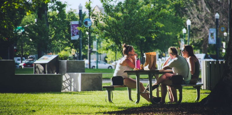 lyndhurst suburb profile