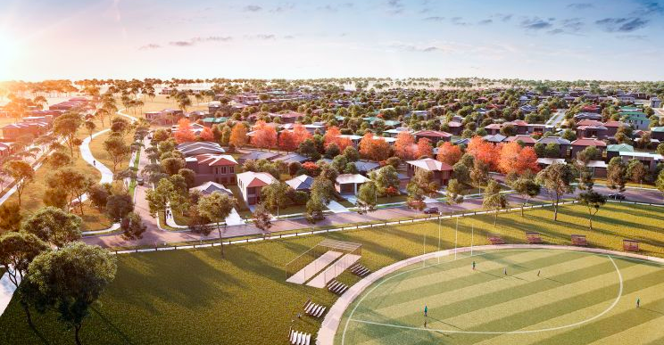 Amber estate profile