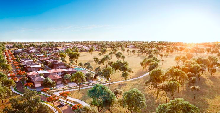 Amber estate profile