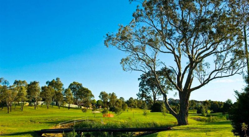 campbelltown suburb profile