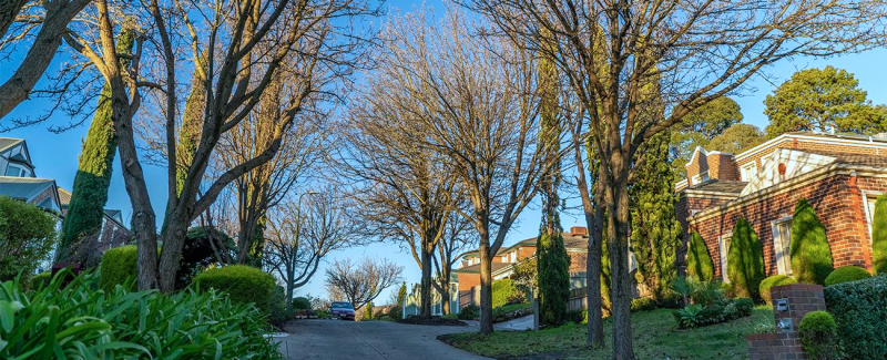 Forest Hill suburb profile