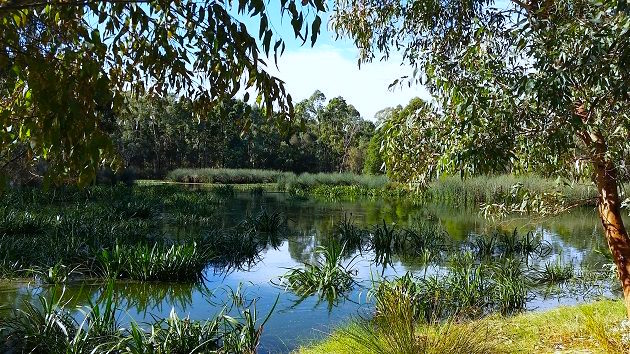 mount barker suburb profile