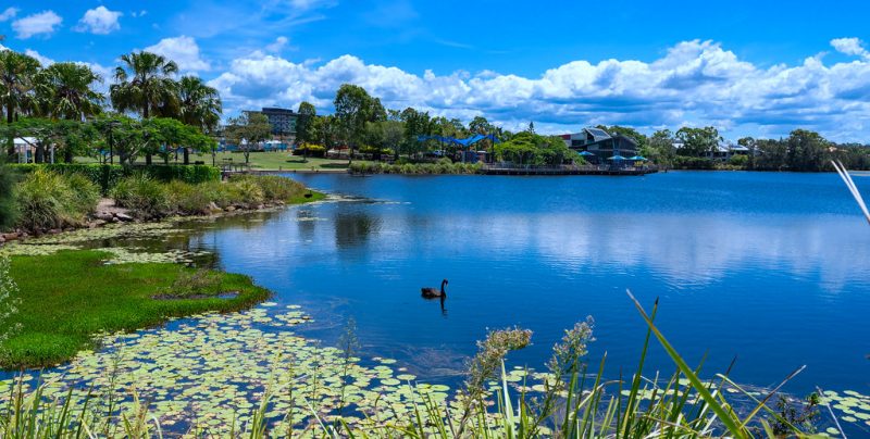 north lakes suburb profile