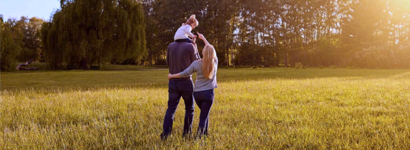 The Maples Oliver Hume