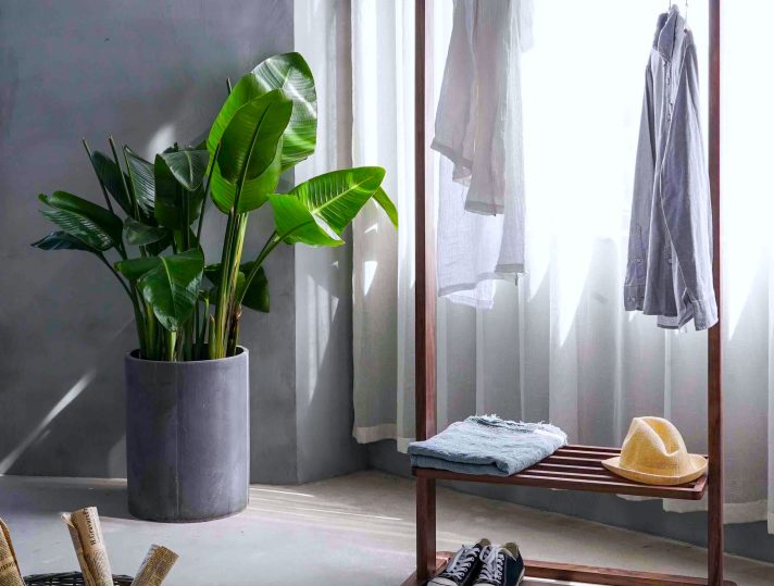 make a house feel like a home