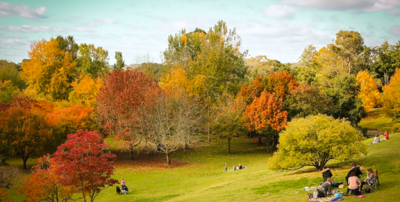 findon south australia