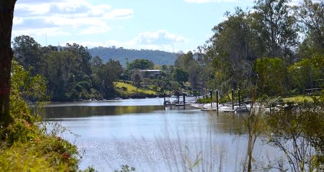fig tree pocket suburb profile