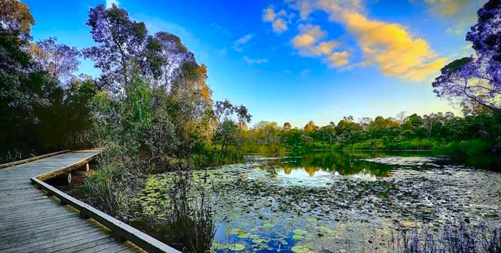 holmview suburb profile