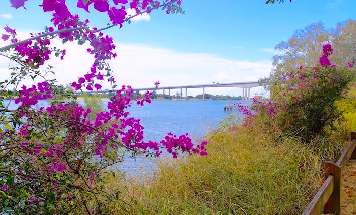 murarrie suburb profile