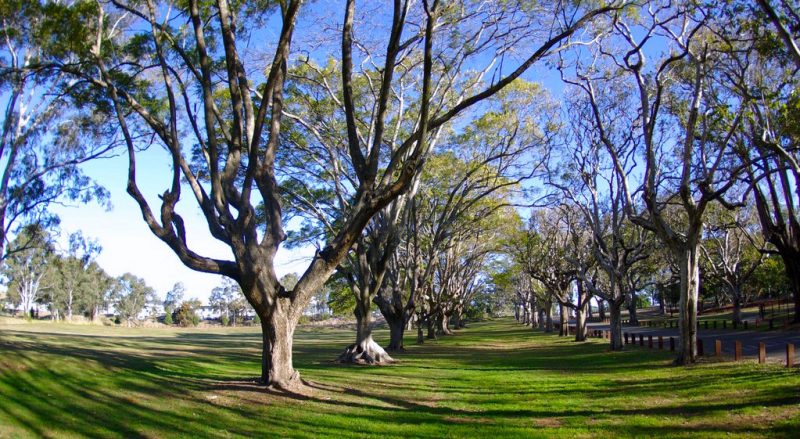 murarrie suburb profile