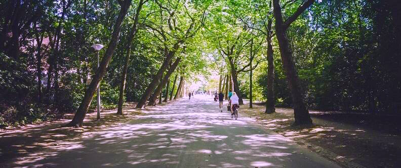 murarrie suburb profile