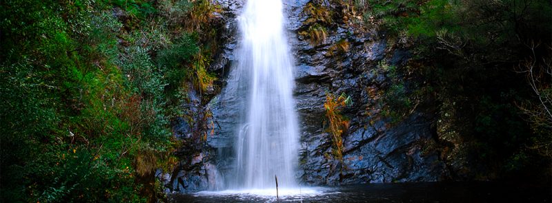 burnside suburb profile