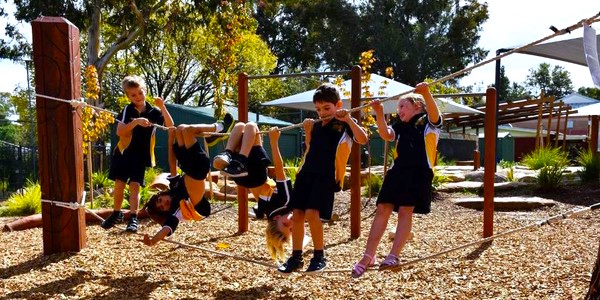 burnside suburb profle