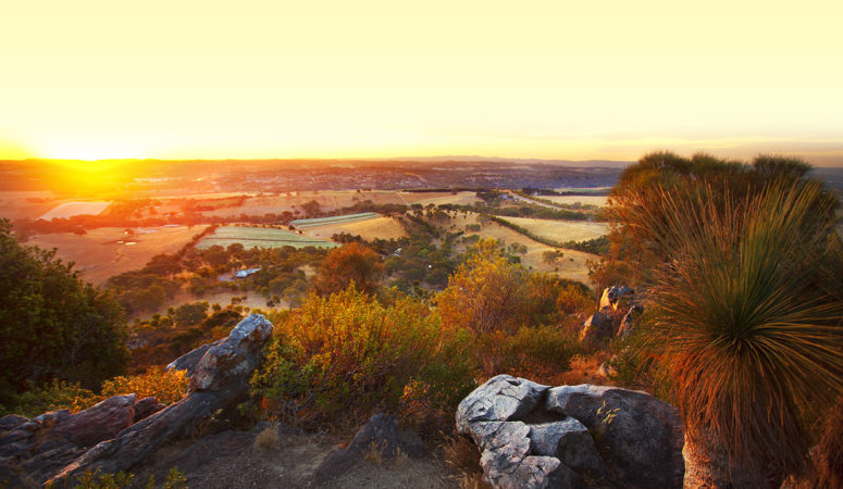 nairne suburb profile
