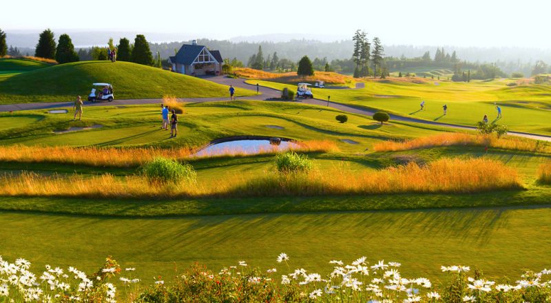 fern bay suburb profile