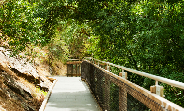 clovelly park suburb profile
