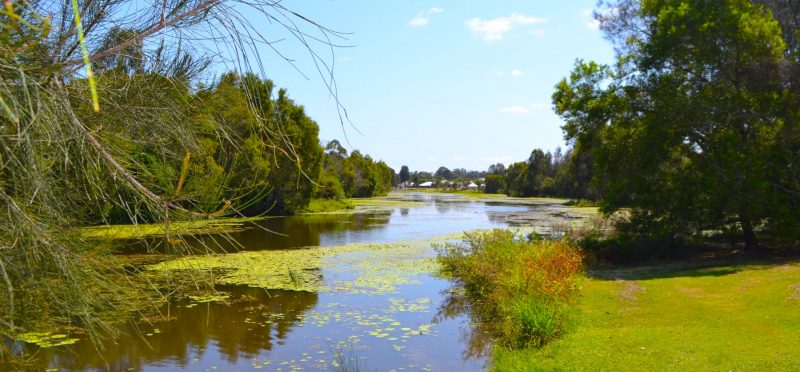 narangba suburb profile