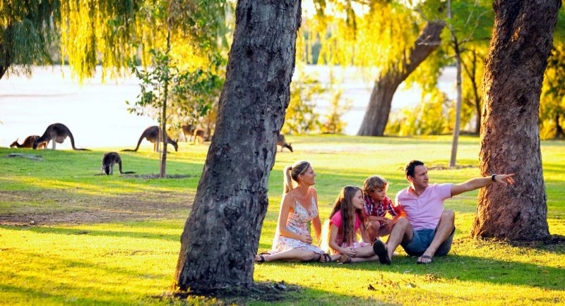 alkimos suburb profile