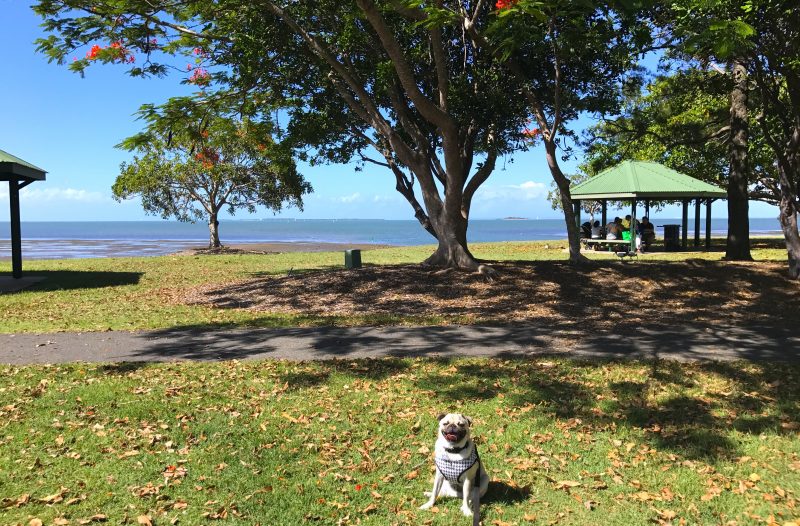 birkdale suburb profile