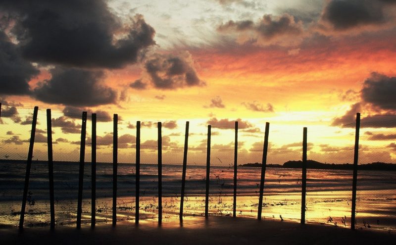 bucasia suburb profile