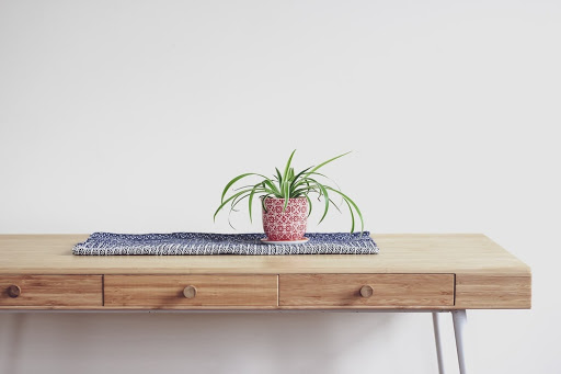 designing with house plants