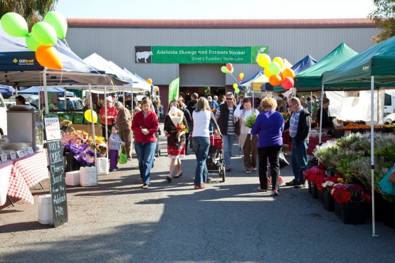 salisbury heights suburb profile