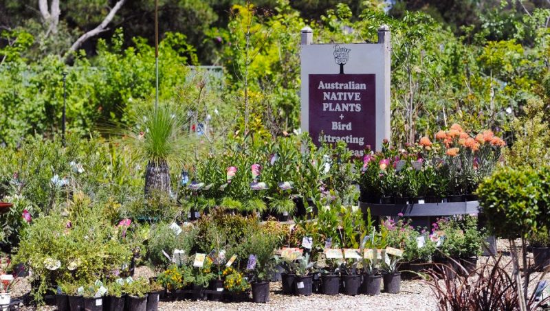 tahmoor suburb profile